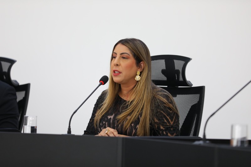 Carla Caputi fala sobre mudanças na estrutura do Governo