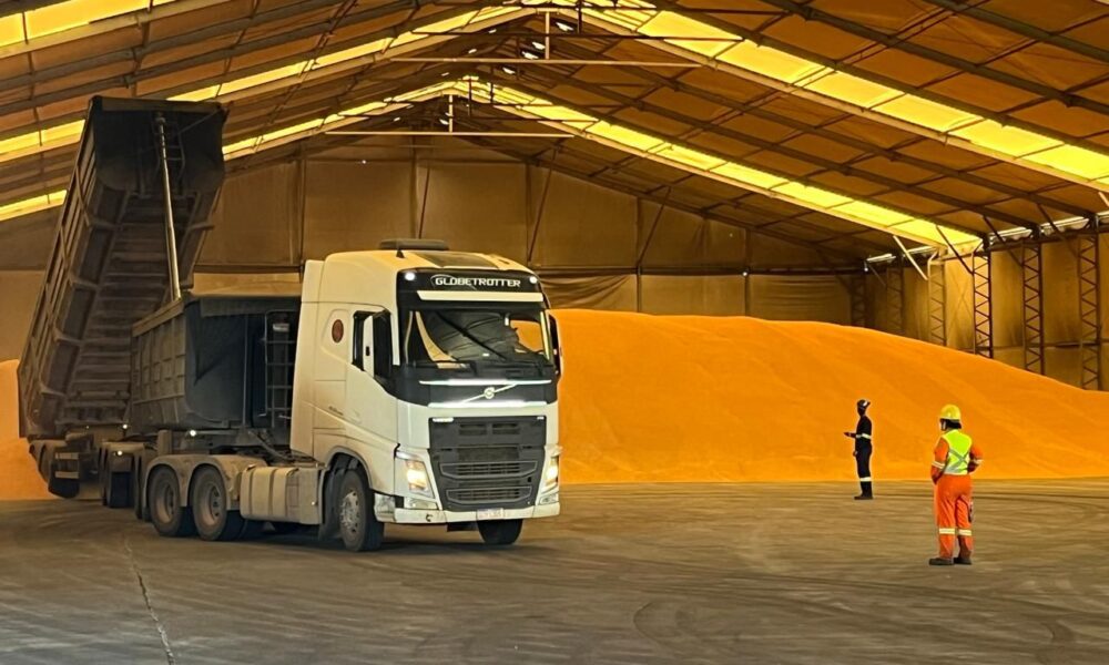 Porto do Açu entra na rota do agro de Mato Grosso com exportação de milho não transgênico