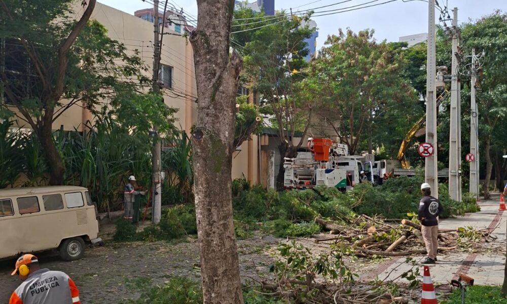 Enquanto o mundo planta árvores, Campos corta