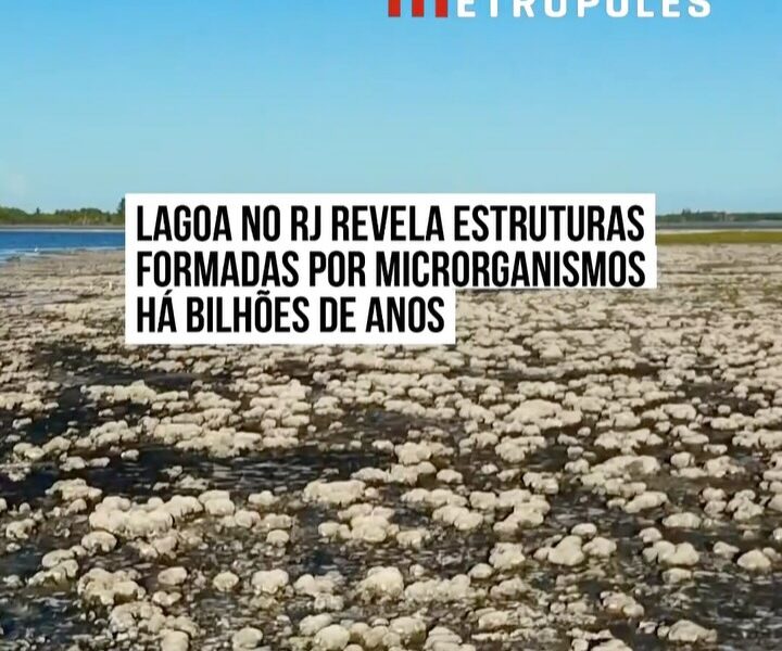 Lagoa do Salgado, em São João da Barra, ganha destaque em site nacional